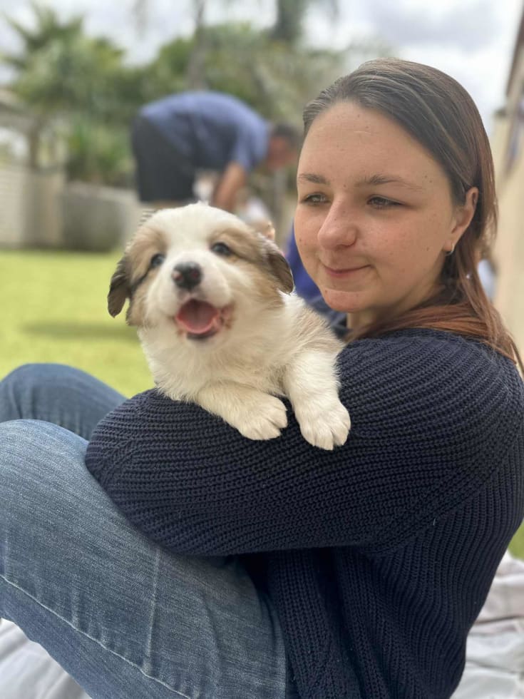 Photo in Sitter's gallery