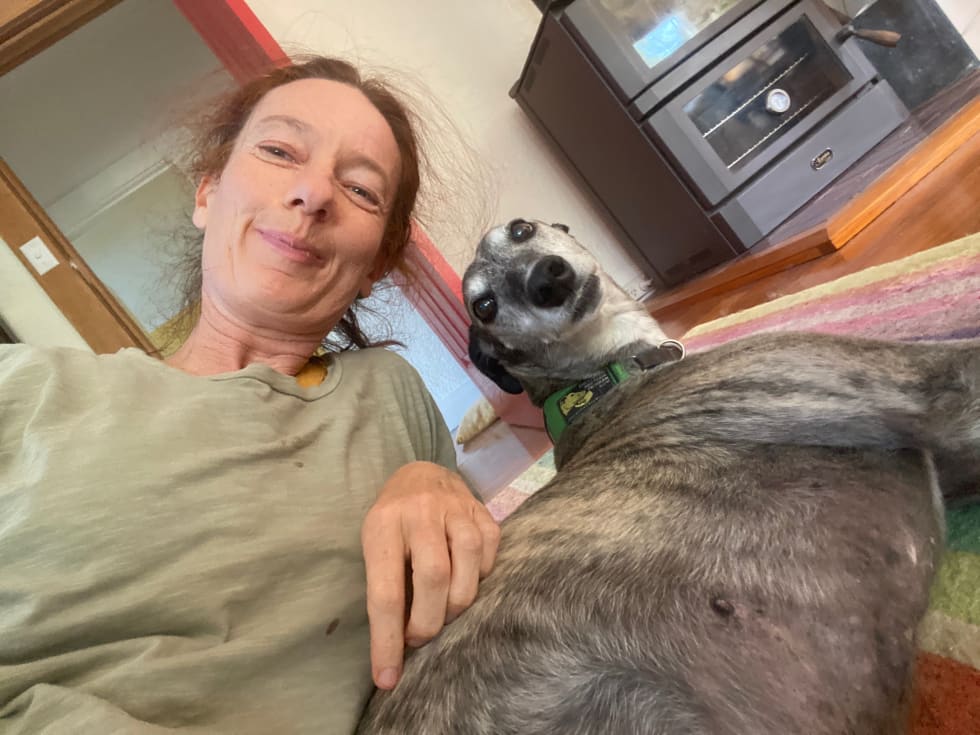 Photo in Sitter's gallery