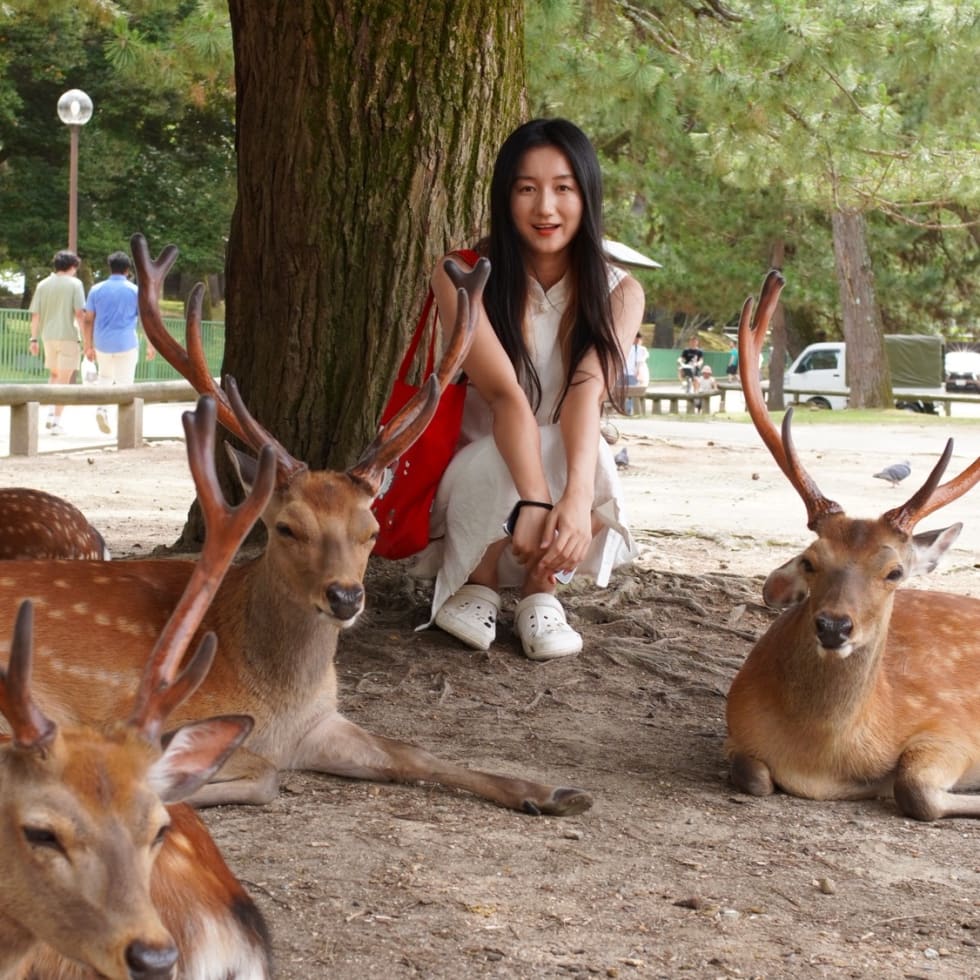 Photo in Sitter's gallery