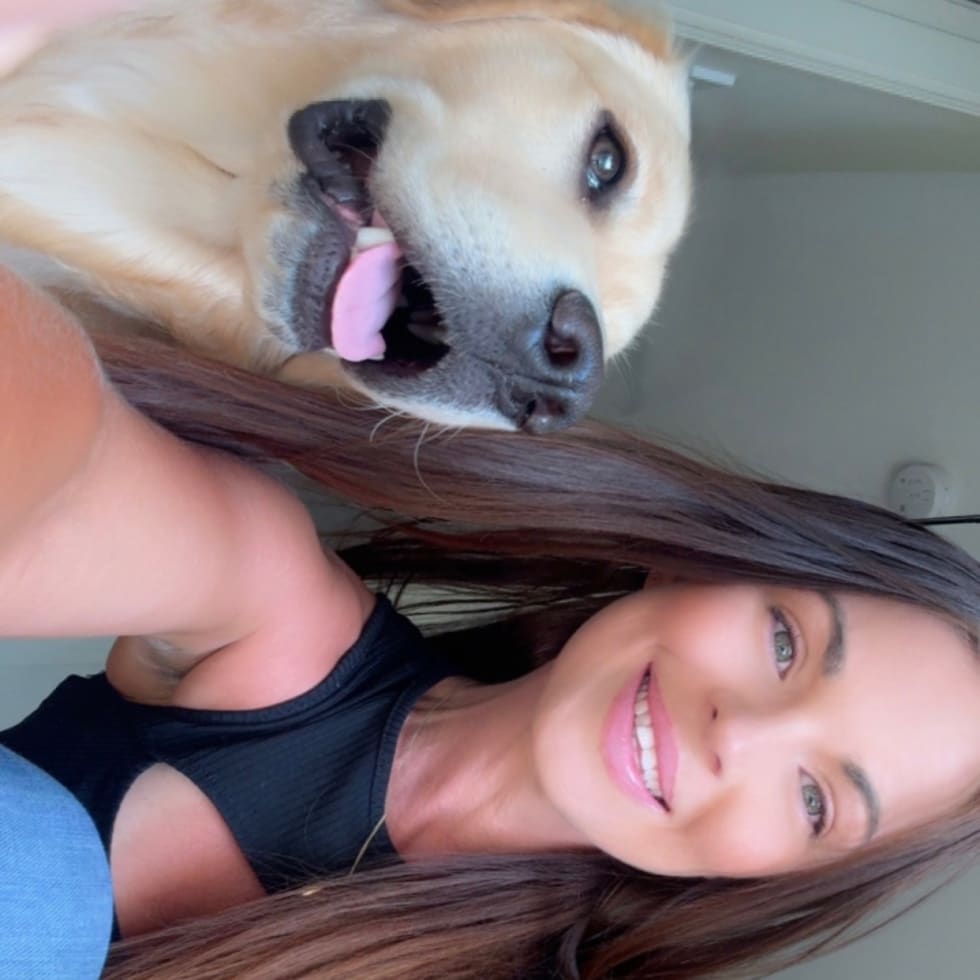 Photo in Sitter's gallery