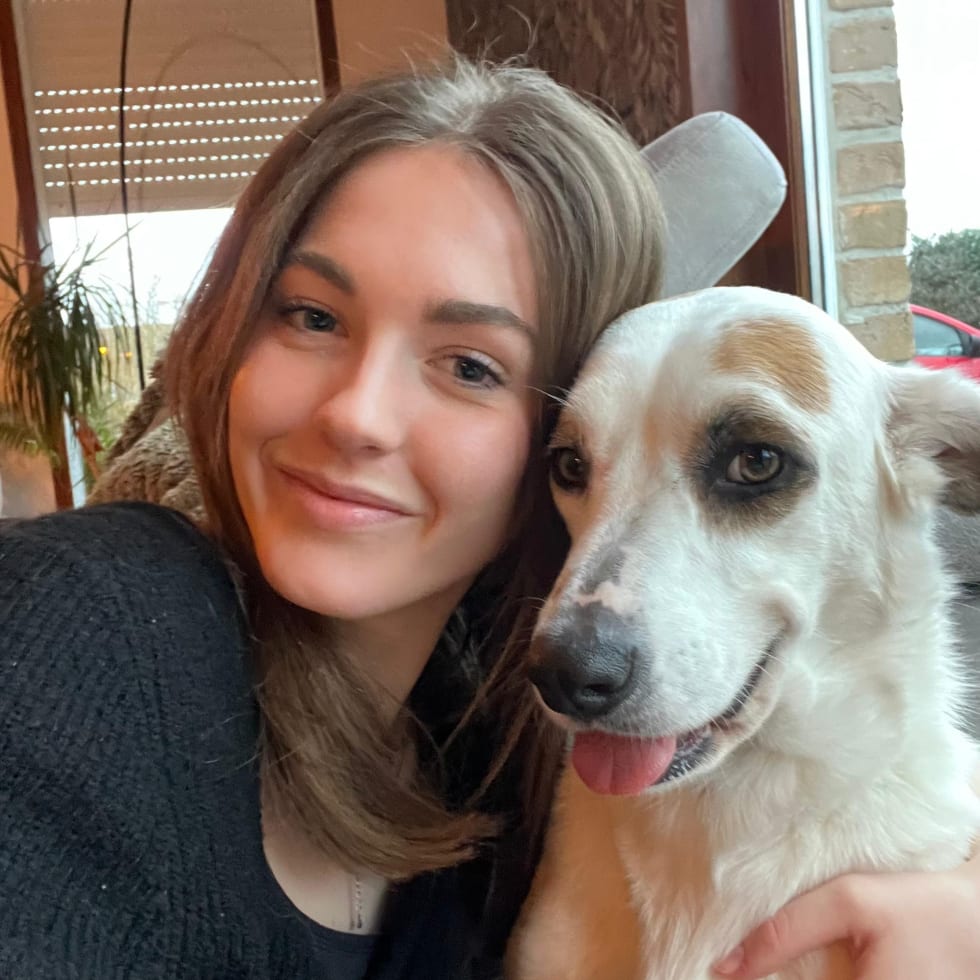 Photo in Sitter's gallery