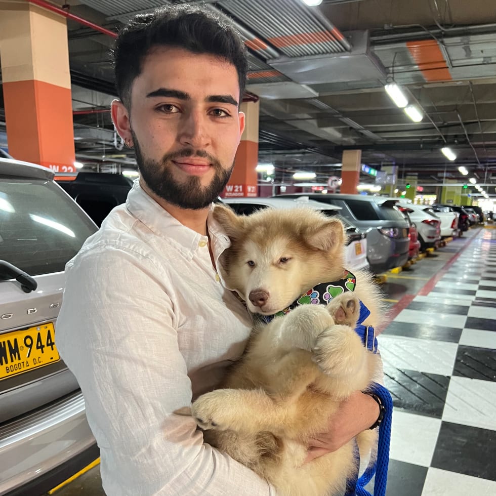 Photo in Sitter's gallery