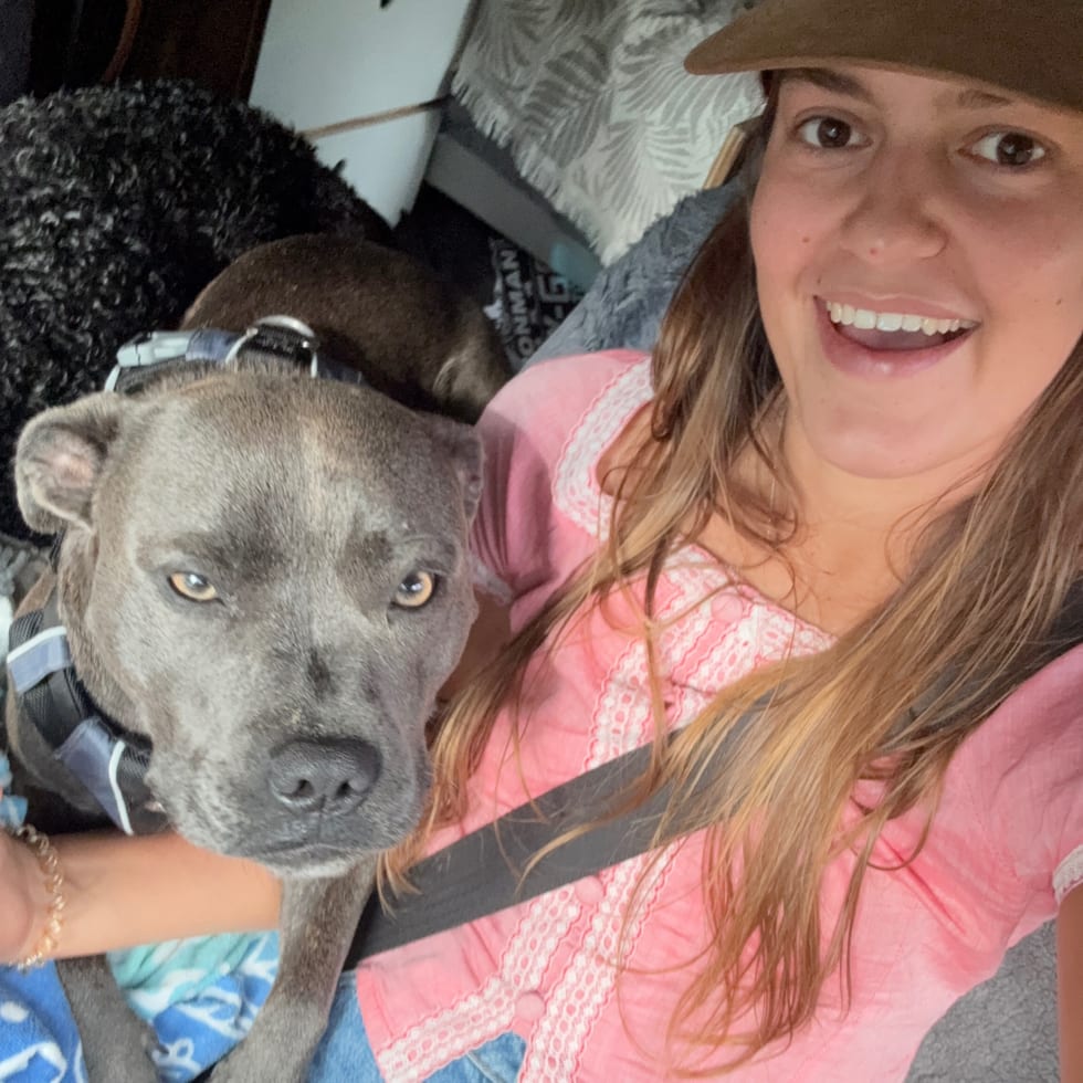 Photo in Sitter's gallery