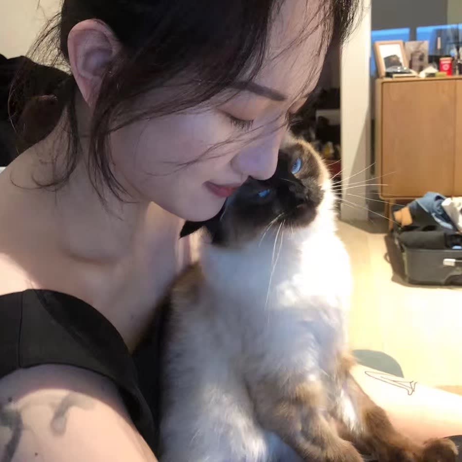 Photo in Sitter's gallery