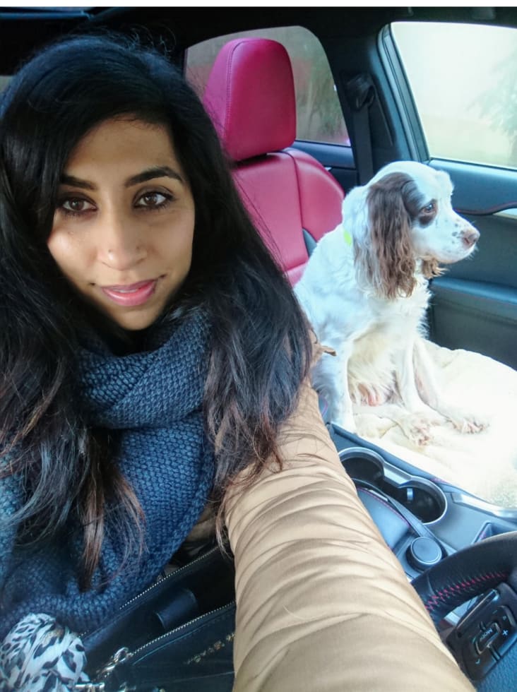 Photo in Sitter's gallery