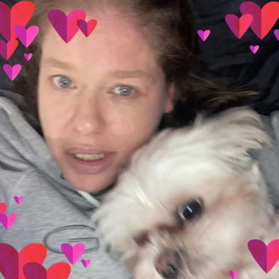 Photo in Sitter's gallery