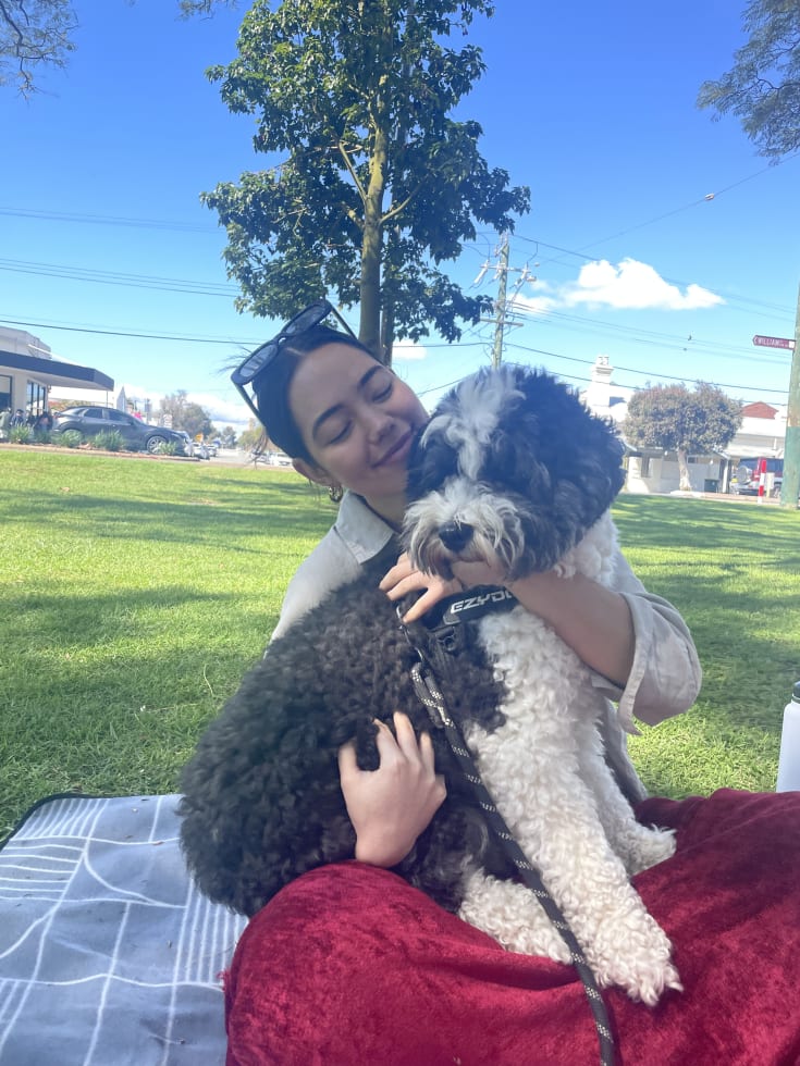 Photo in Sitter's gallery