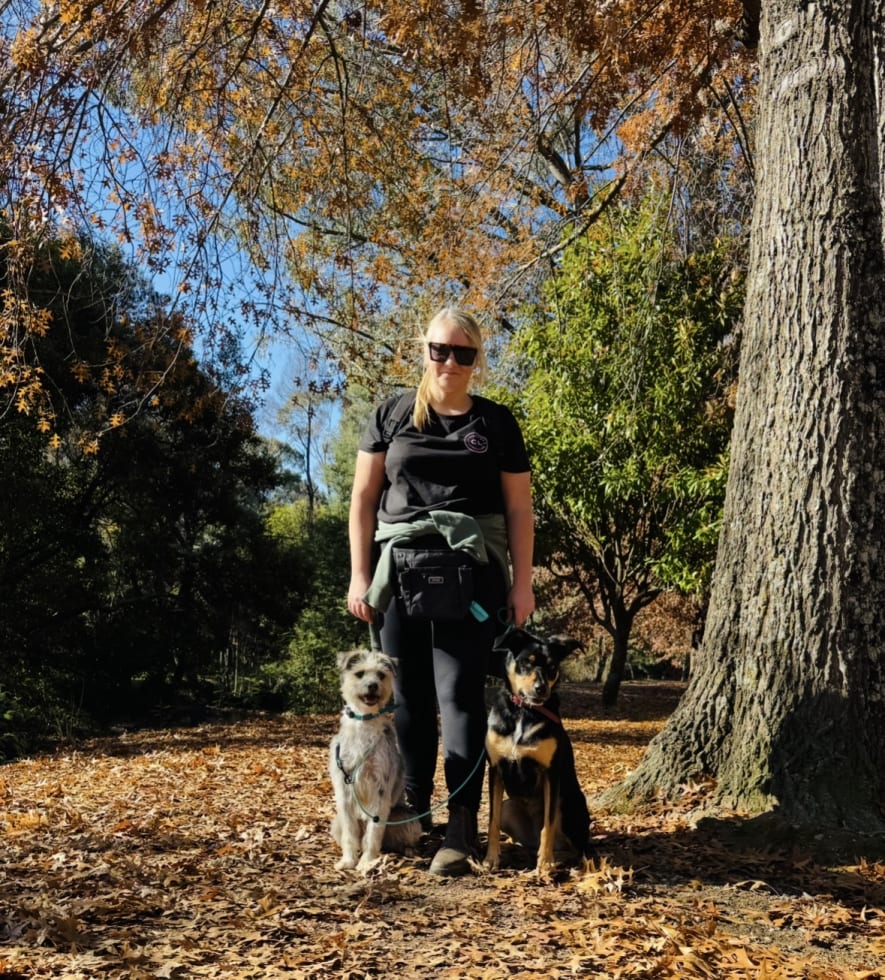 Photo in Sitter's gallery