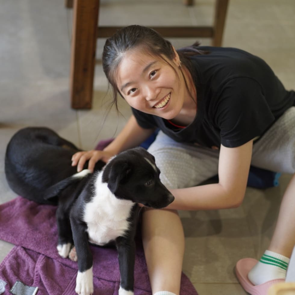 Photo in Sitter's gallery