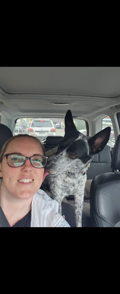 Photo in Sitter's gallery