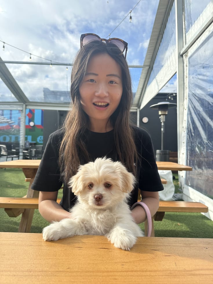 Photo in Sitter's gallery