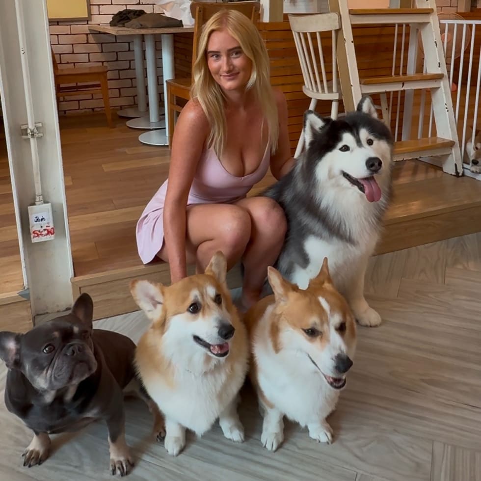 Photo in Sitter's gallery