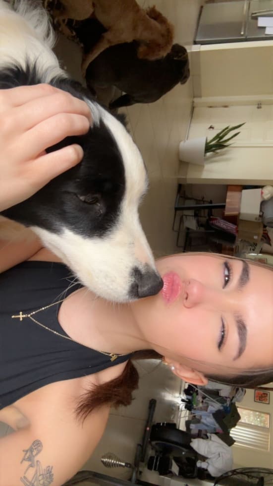 Photo in Sitter's gallery