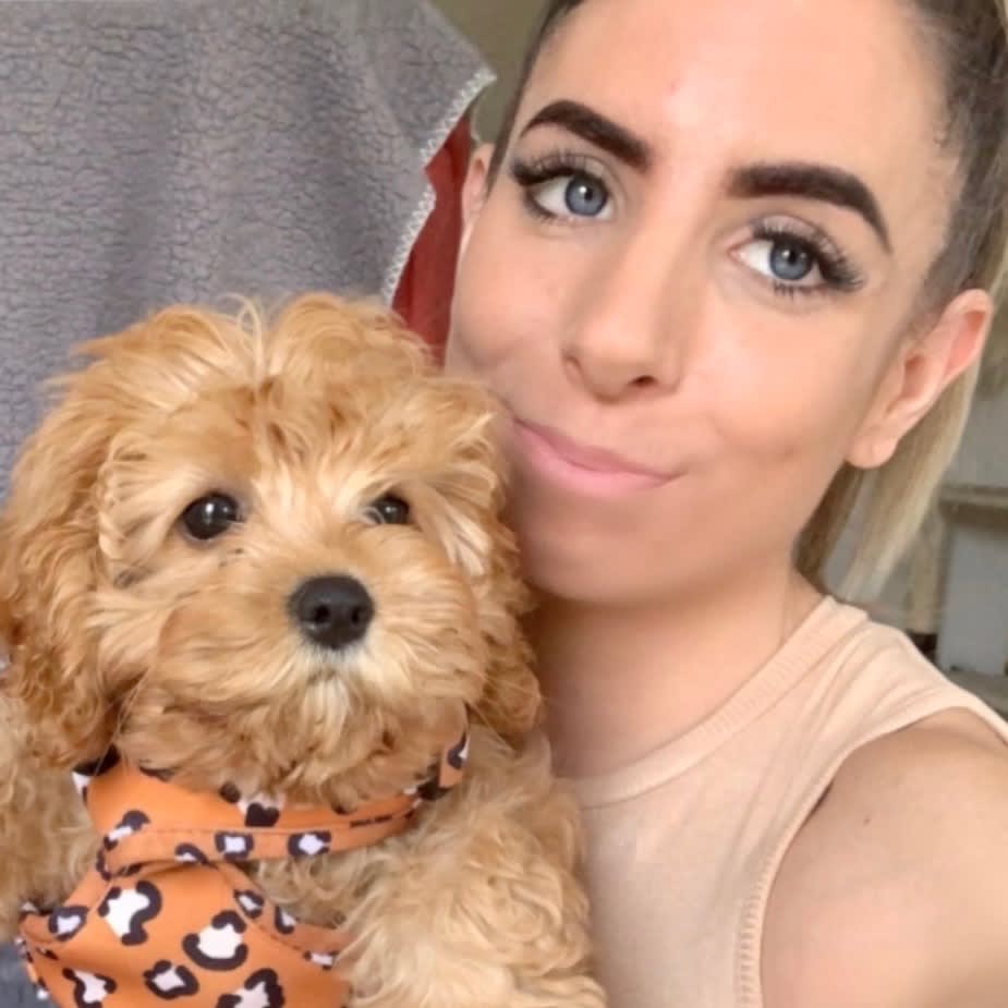 Photo in Sitter's gallery