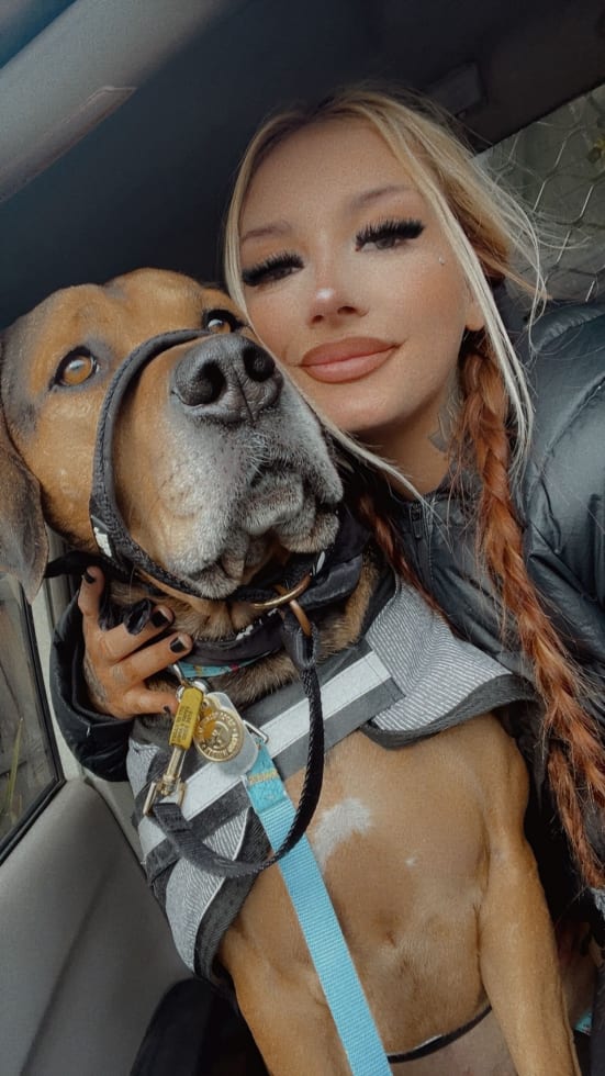 Photo in Sitter's gallery