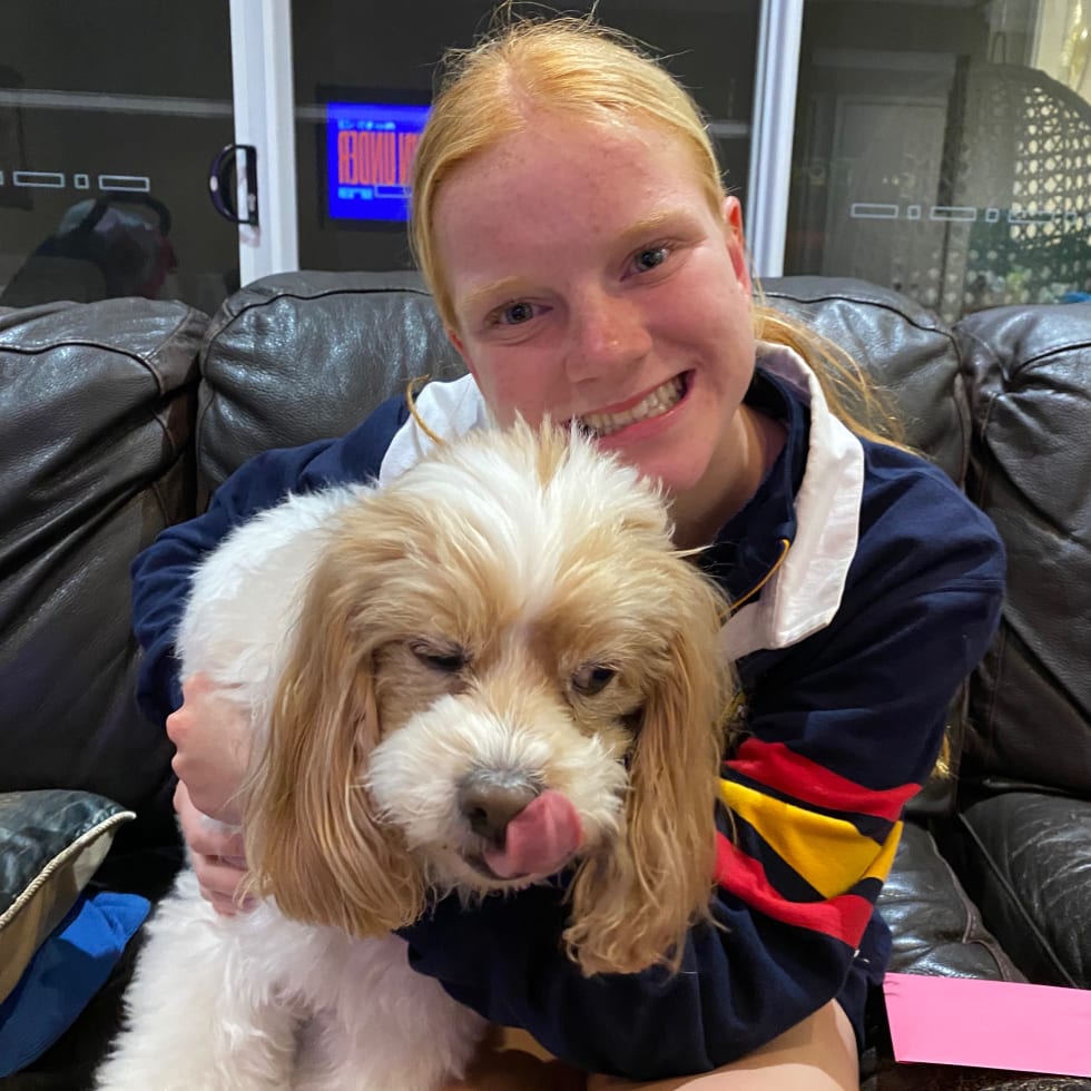 Photo in Sitter's gallery