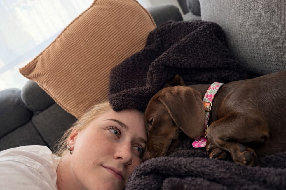 Photo in Sitter's gallery