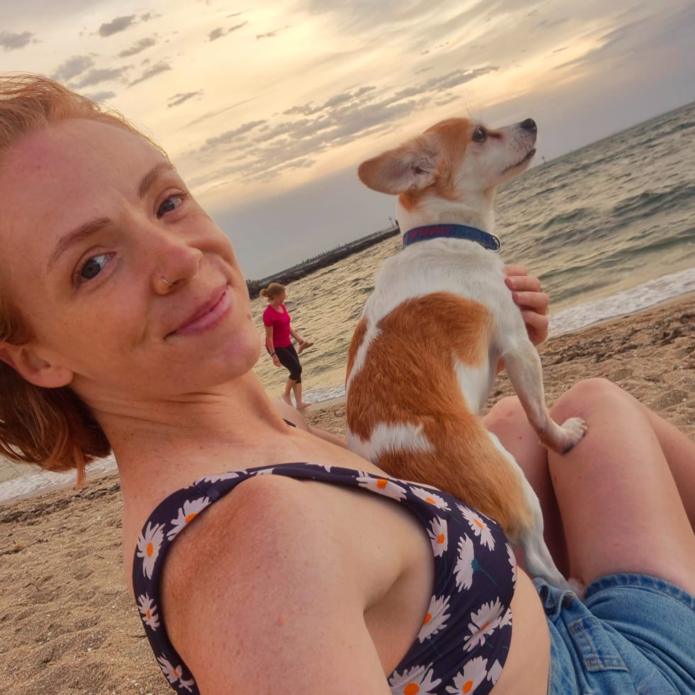 Photo in Sitter's gallery