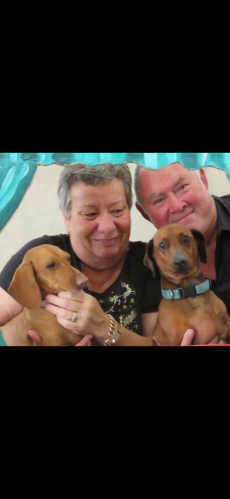 Photo in Sitter's gallery