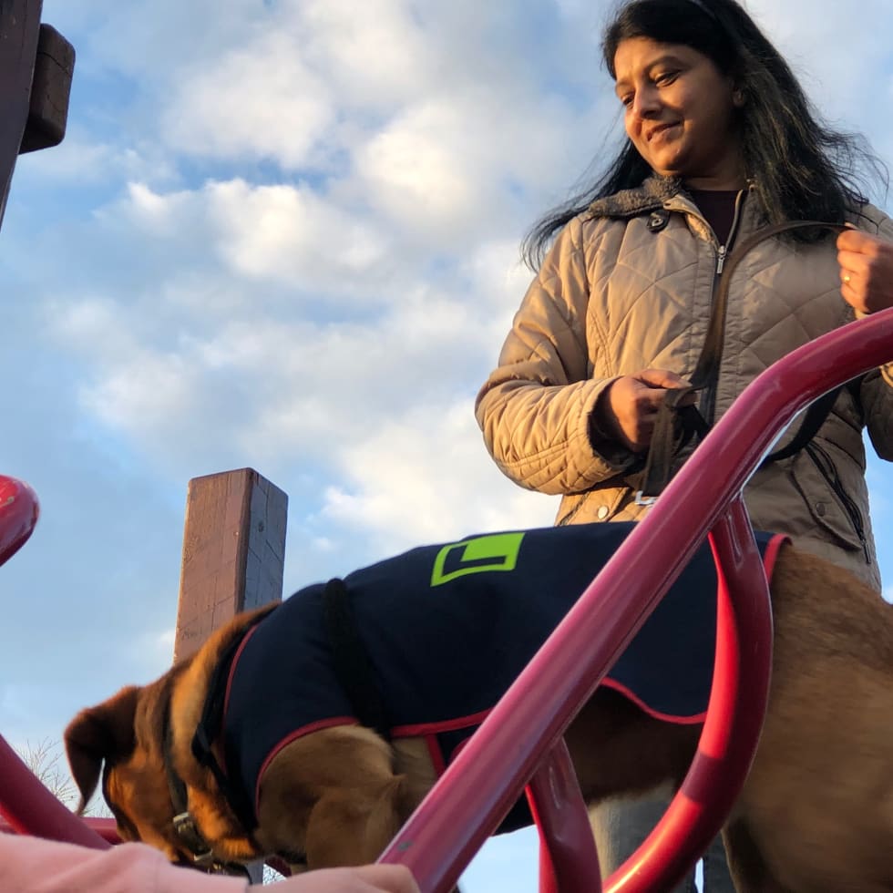 Photo in Sitter's gallery