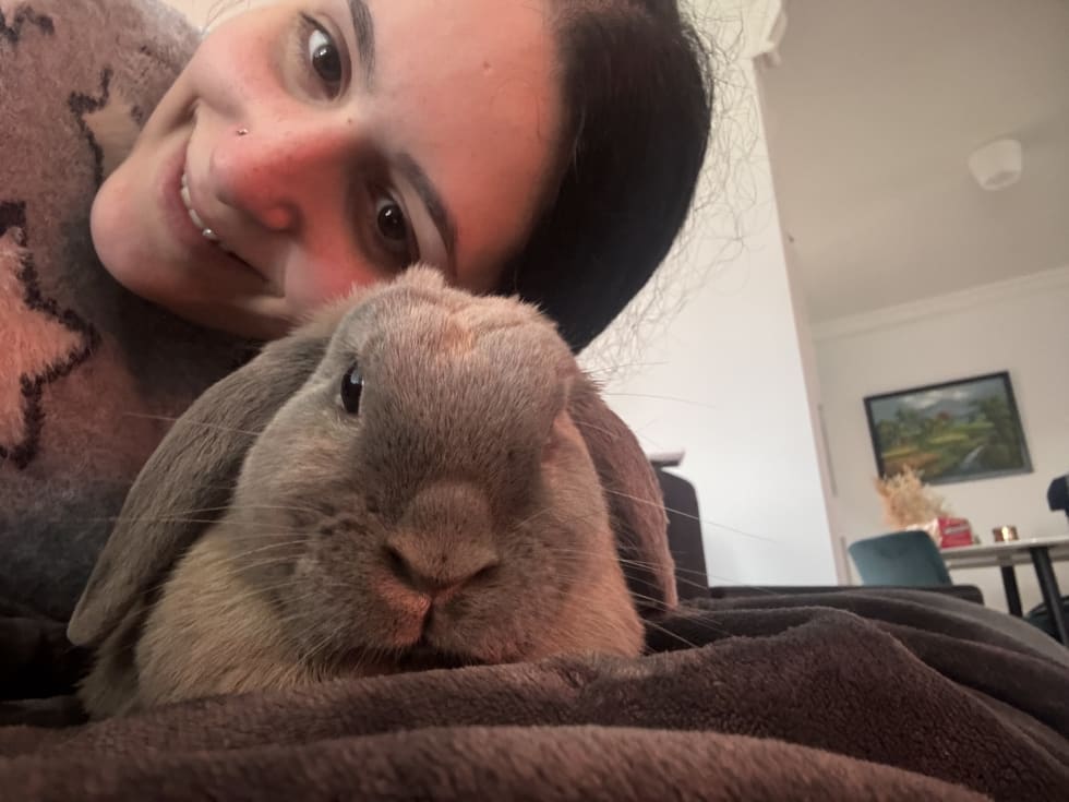 Photo in Sitter's gallery