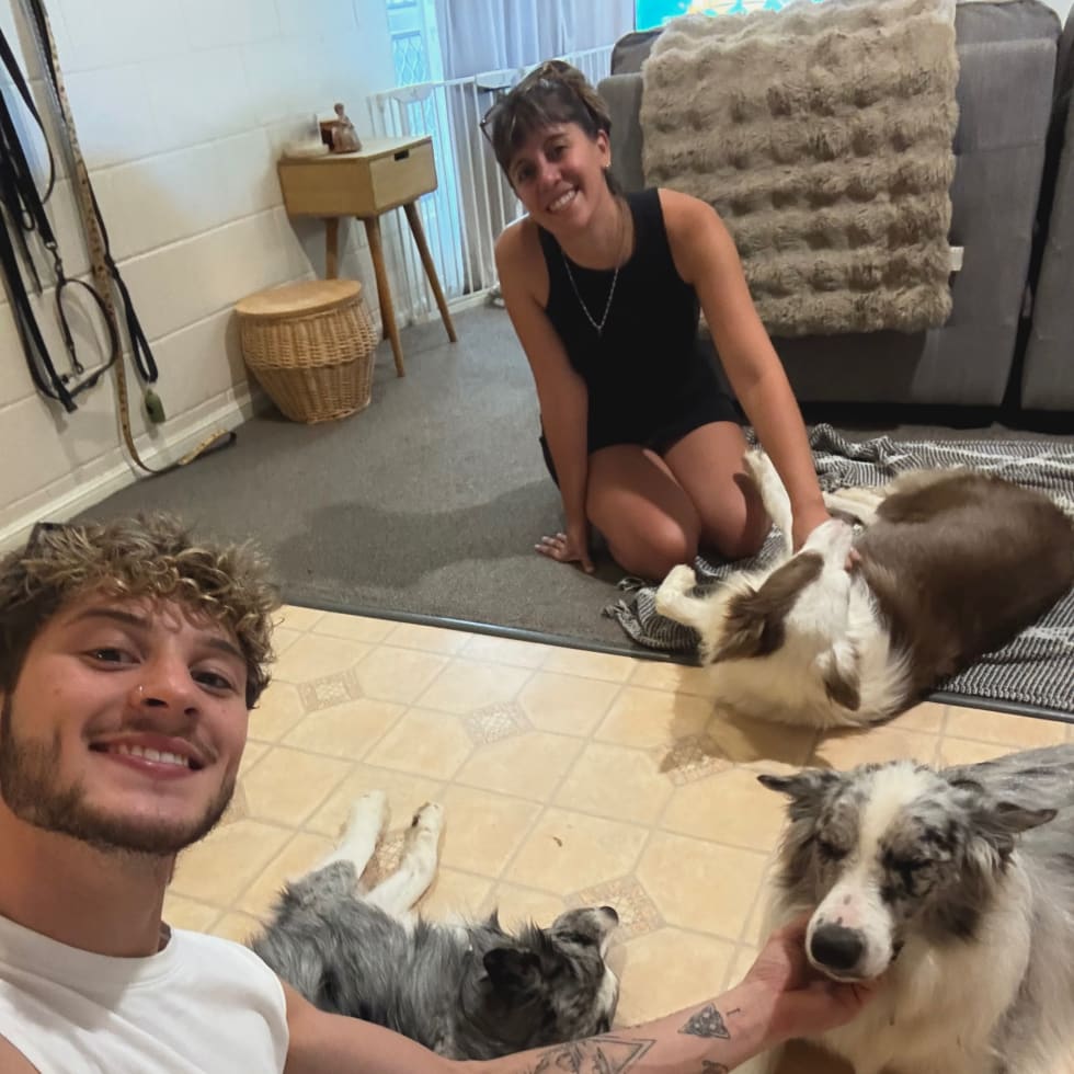 Photo in Sitter's gallery