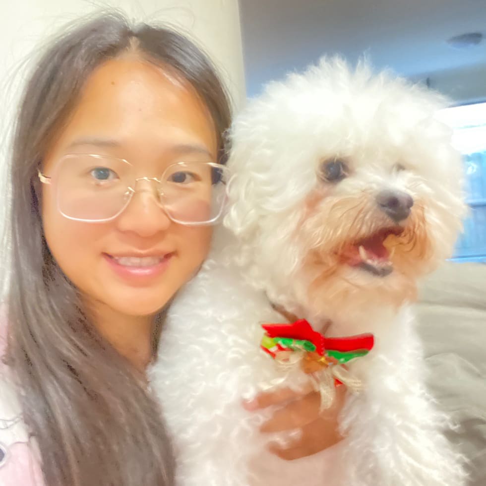 Photo in Sitter's gallery