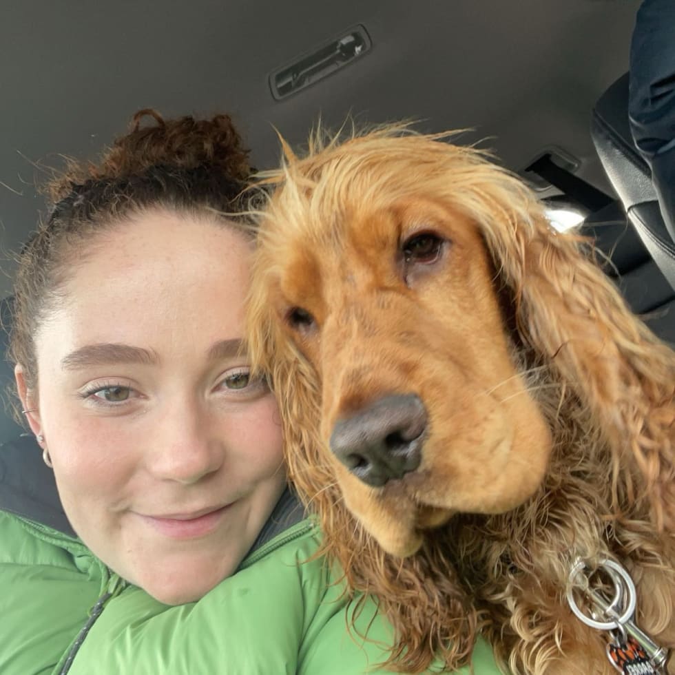 Photo in Sitter's gallery