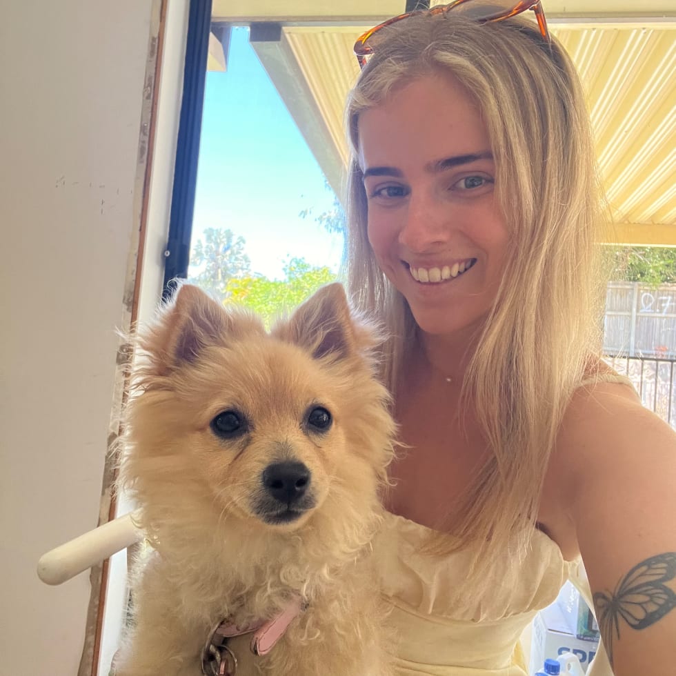 Photo in Sitter's gallery