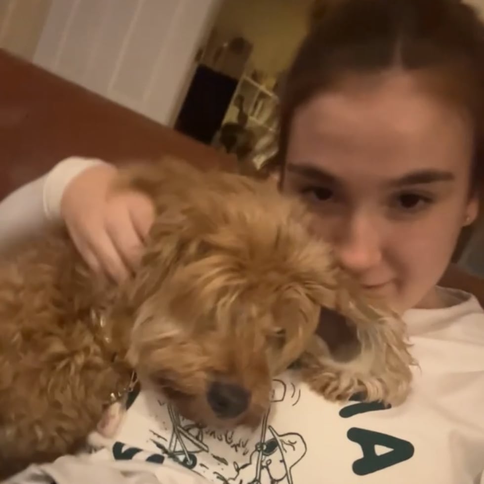 Photo in Sitter's gallery