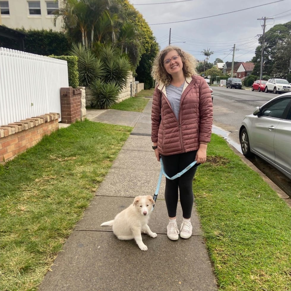 Photo in Sitter's gallery