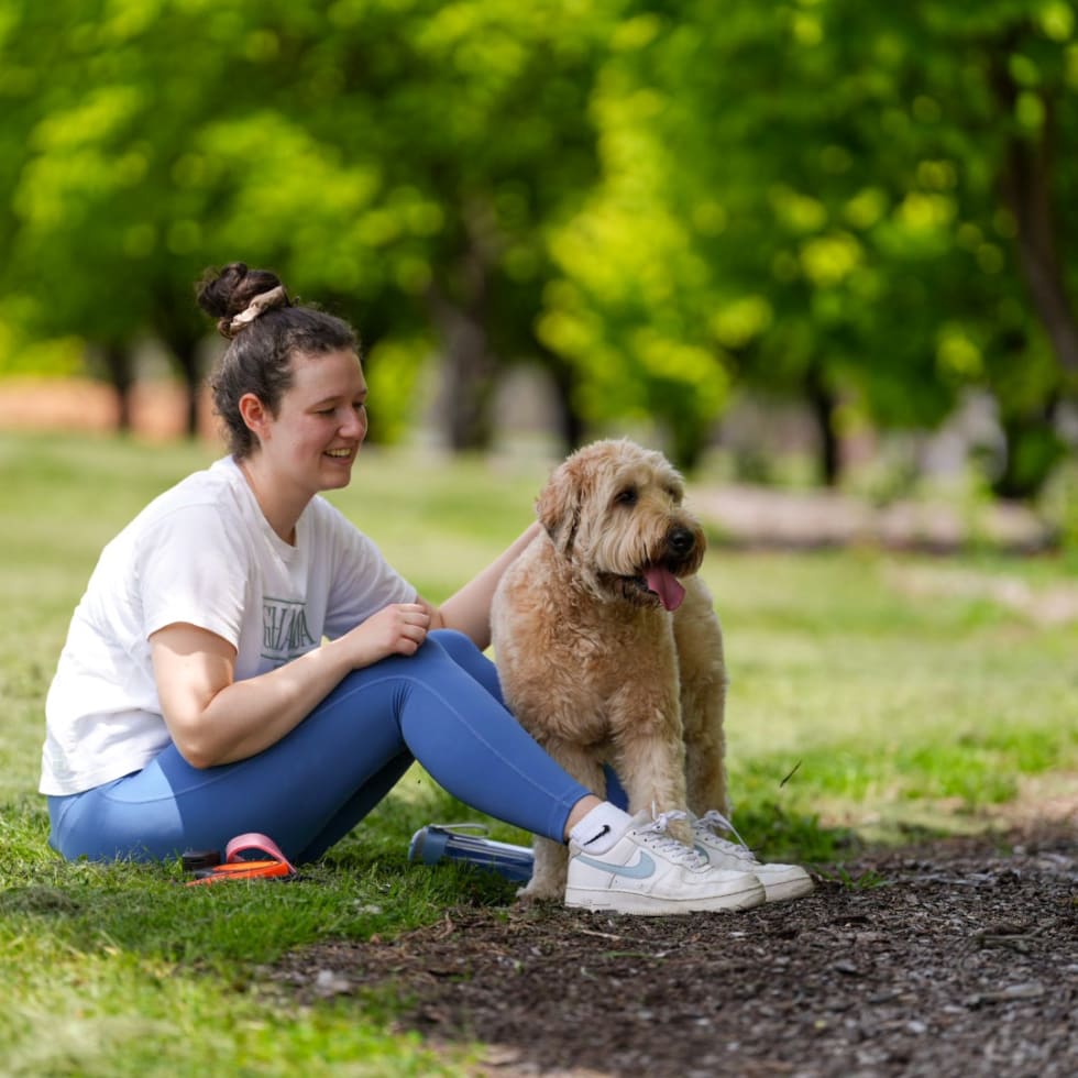 Photo in Sitter's gallery