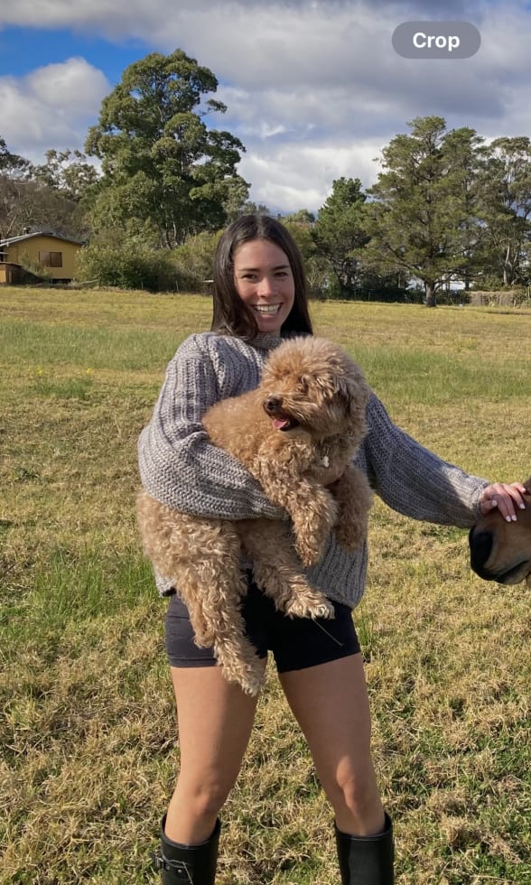 Photo in Sitter's gallery