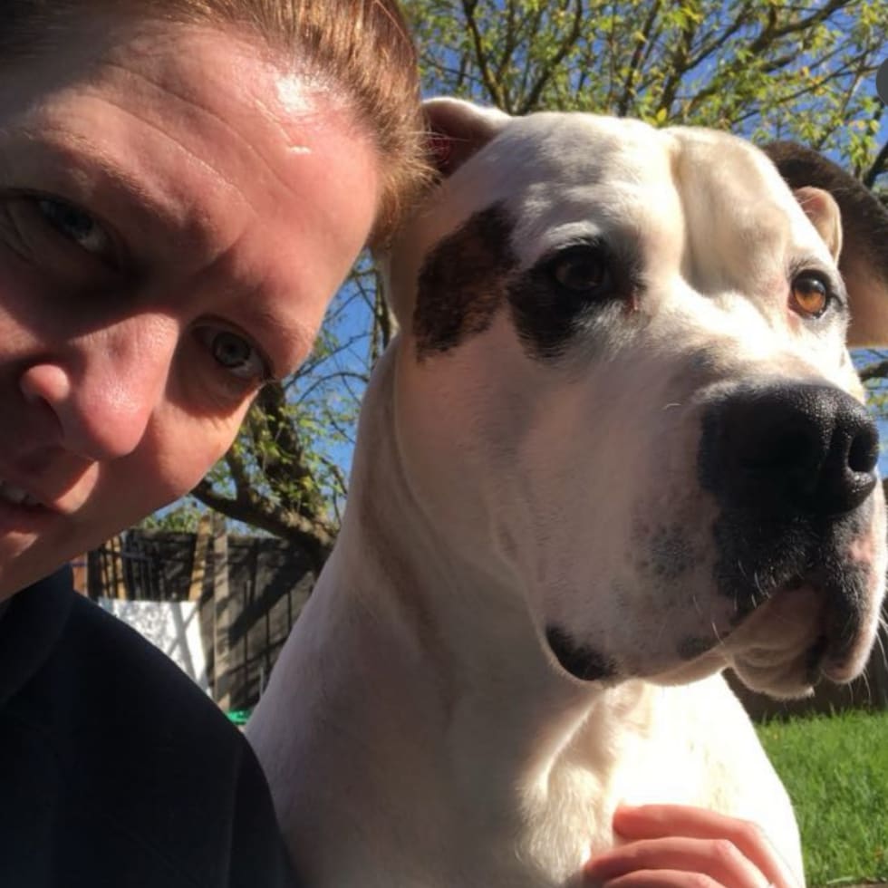 Photo in Sitter's gallery