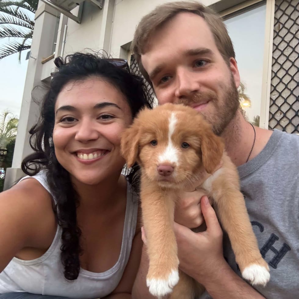 Photo in Sitter's gallery