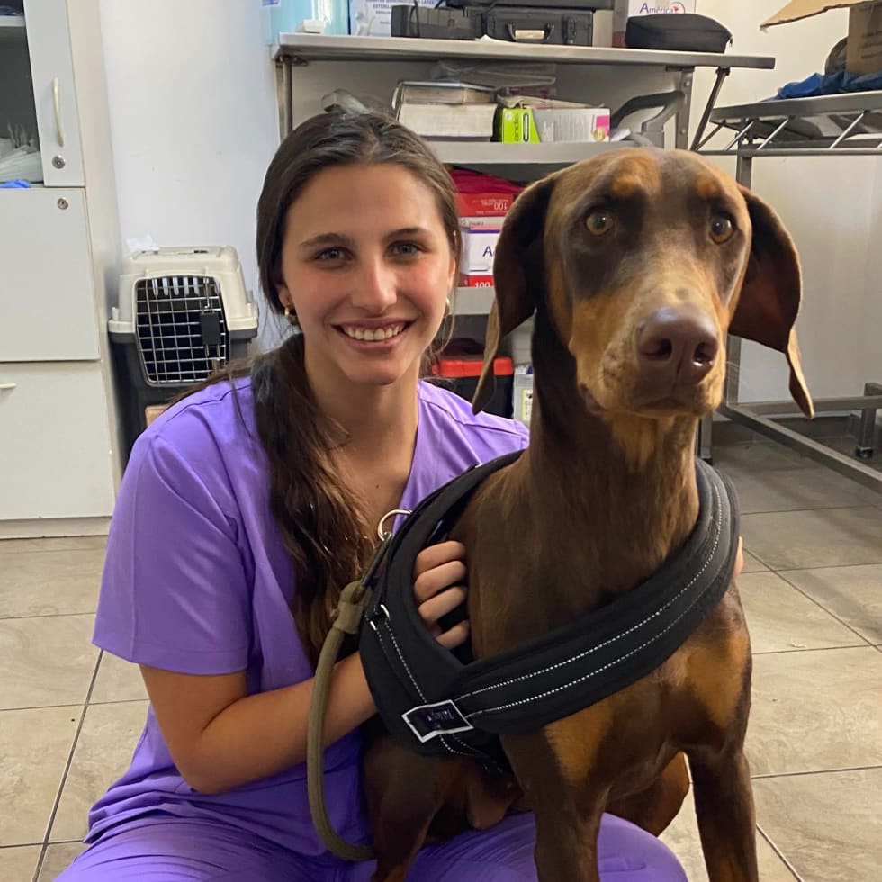 Photo in Sitter's gallery