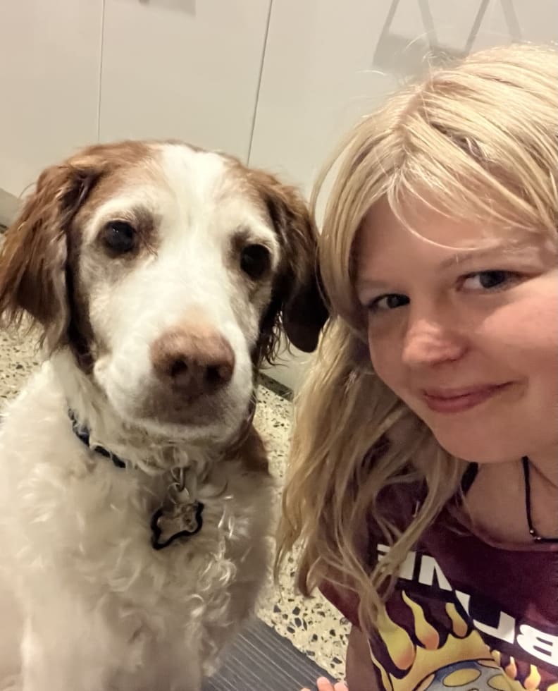 Photo in Sitter's gallery