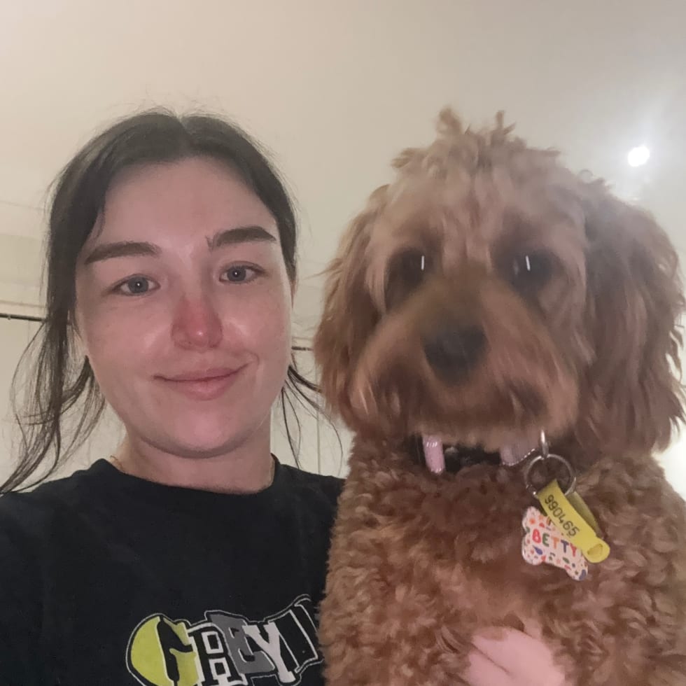 Photo in Sitter's gallery