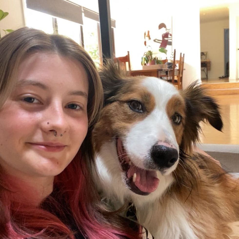 Photo in Sitter's gallery