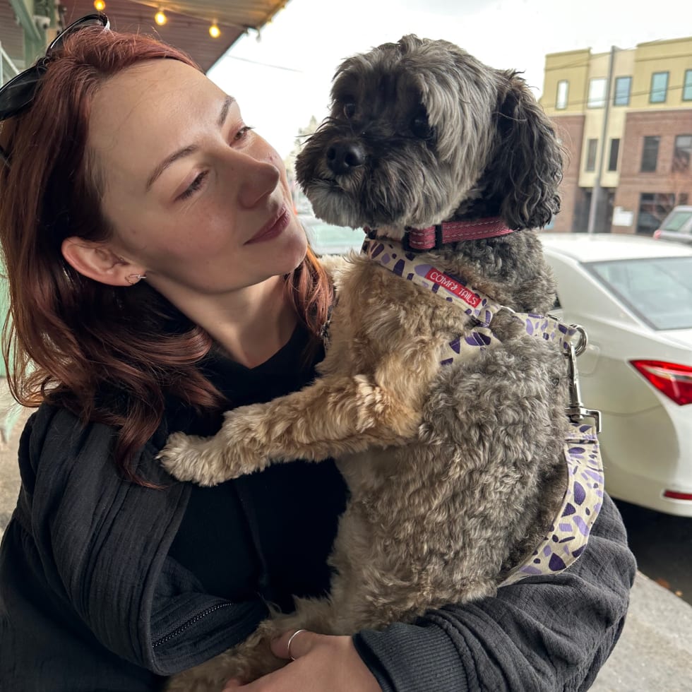 Photo in Sitter's gallery