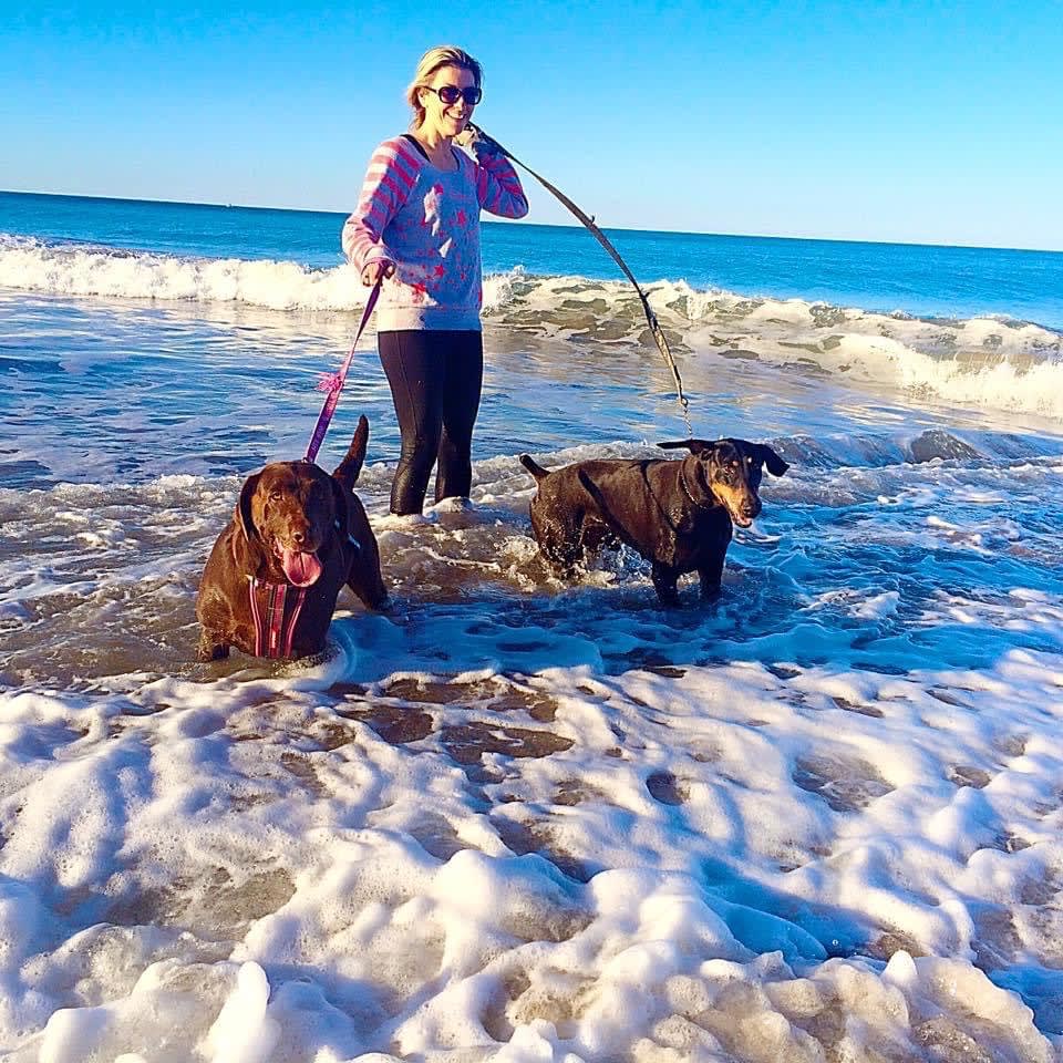 Photo in Sitter's gallery