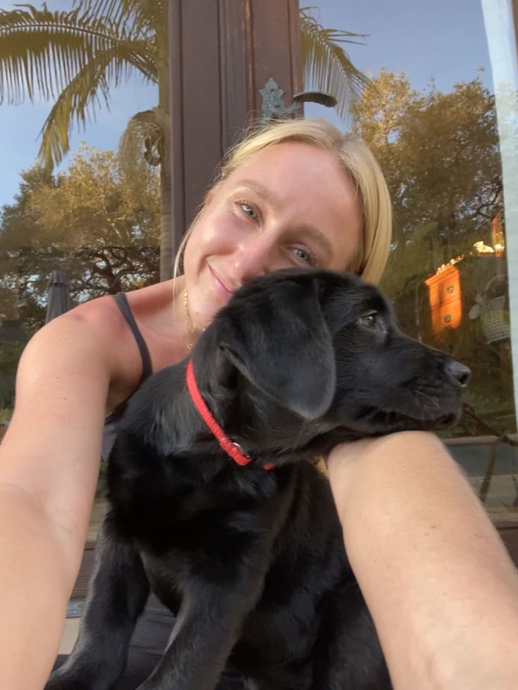 Photo in Sitter's gallery