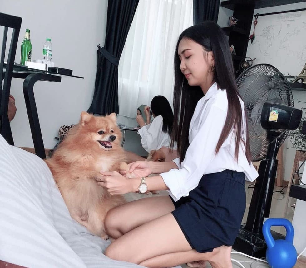 Photo in Sitter's gallery