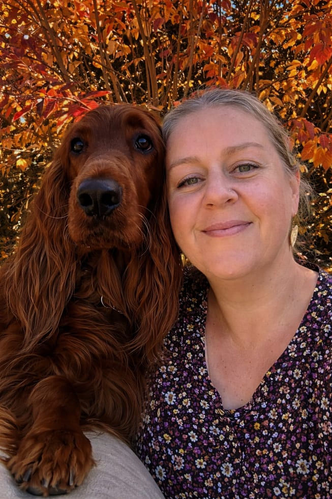 Photo in Sitter's gallery