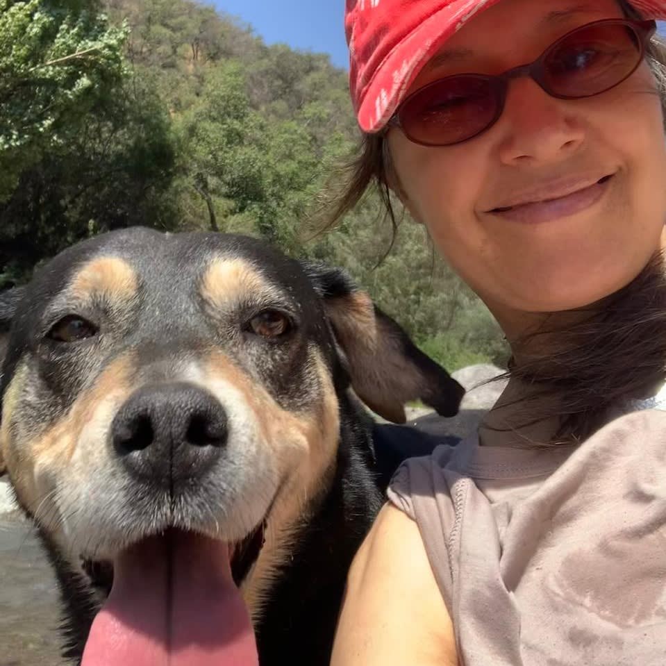 Photo in Sitter's gallery