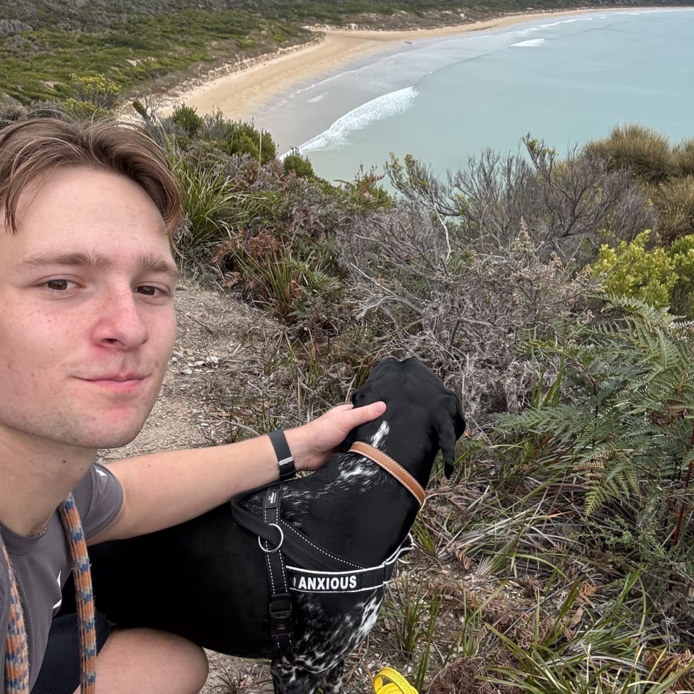 Photo in Sitter's gallery