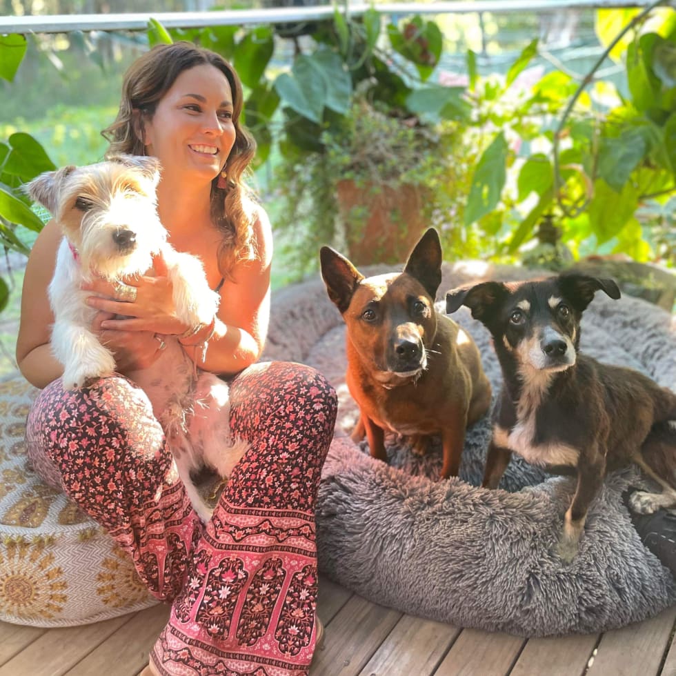 Photo in Sitter's gallery