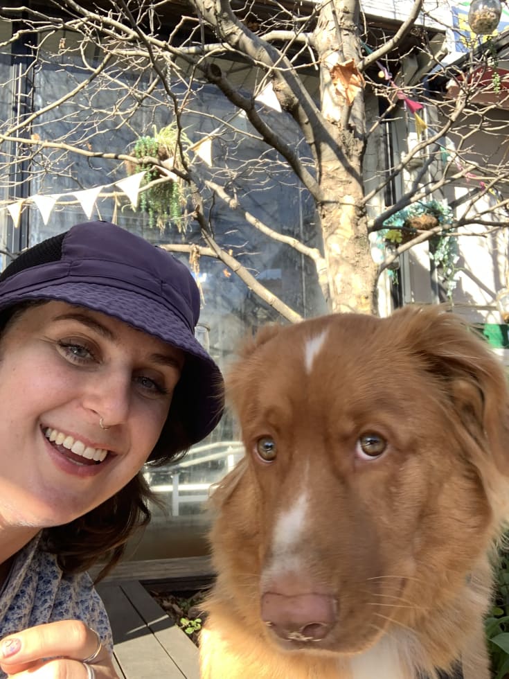 Photo in Sitter's gallery