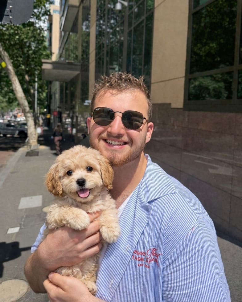 Photo in Sitter's gallery