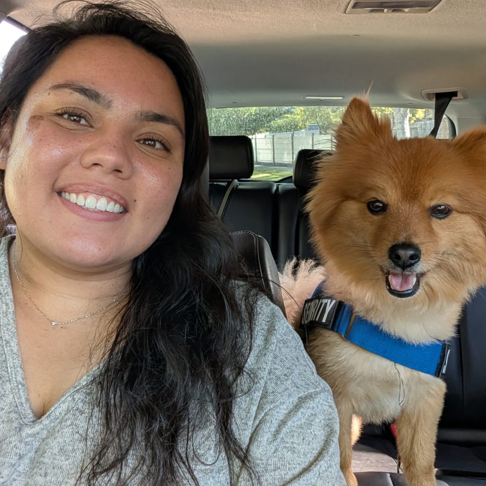 Photo in Sitter's gallery